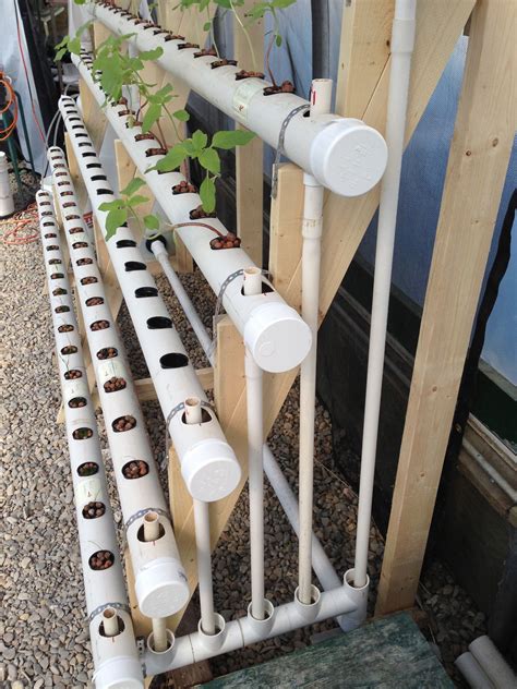 Why grow food this way? Pin on Growing Edibles