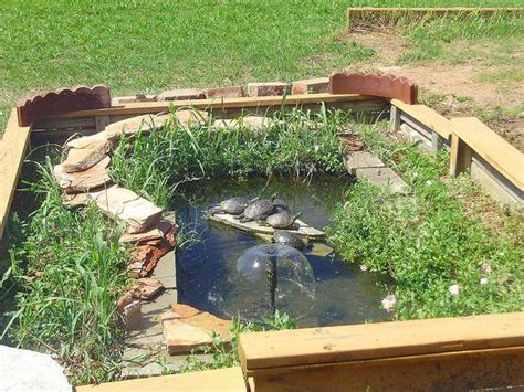 Image Result For Above Ground Turtle Pond Kits Diy Pond Ponds
