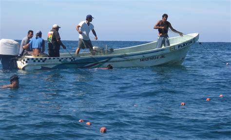 Buenas Noticias Con La Reactivación De La Pesca En Yucatán La Verdad