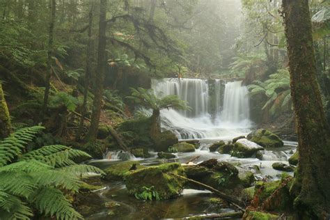 Mt Field National Park And Wildlife Tours Tasmania