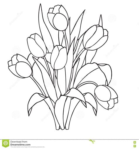 Want to discover art related to bloemenkrans? Tulips , Flowers, Ornamental Black And White Coloring Pages. Stock Vector - Illustration of leaf ...