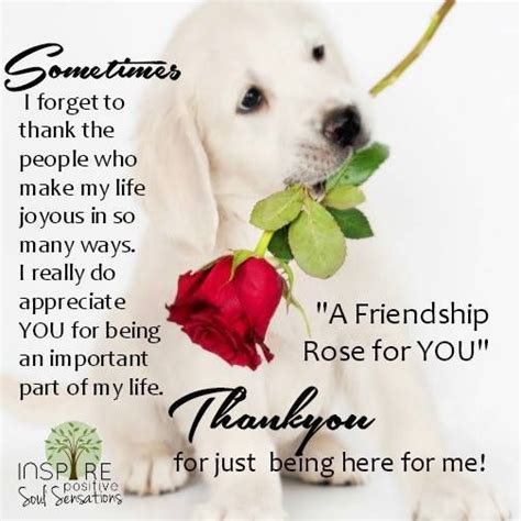 Thank You All My Wonderful Pin Friends For Your Love And