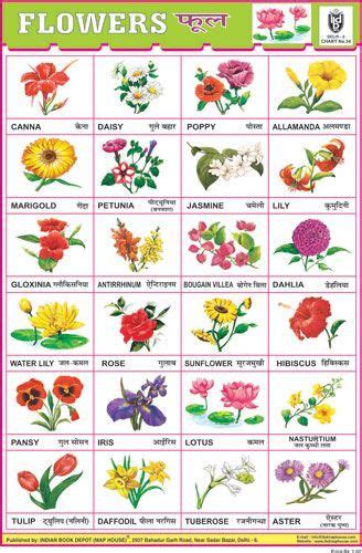 Check spelling or type a new query. Is Dahlia Flower In Hindi Name Still Relevant? | Dahlia ...