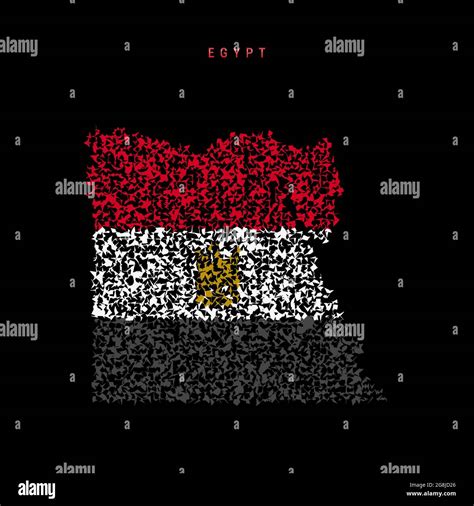 Egypt Flag Map Chaotic Particles Pattern In The Colors Of The Egyptian