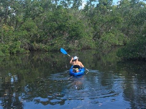 Naples Paddleboard Naples Marco Island And Everglades