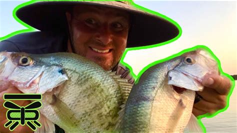 If you need fishing tackle, or are looking for a fishing guide or fishing charter please visit tackle, guides, charters. JIG FISHING For CRAPPIE. Lake Ray Roberts - YouTube