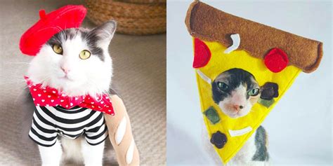 Best Cat Halloween Costumes 2020 22 Creative Cat Halloween Costume Ideas