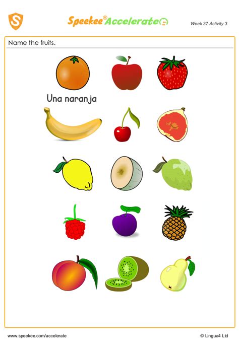Fruits In Spanish Worksheet