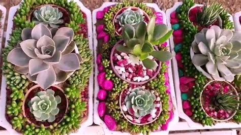Beautiful Succulents Containers As Seen In Nursery Youtube