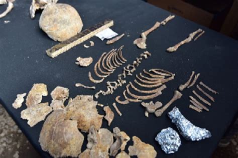Hallazgo Arqueológico Descubren 200 Piezas Arqueológicas En Huancayo