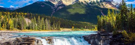 15 Things To Know Before Your Visit To Athabasca Falls Voyagerun