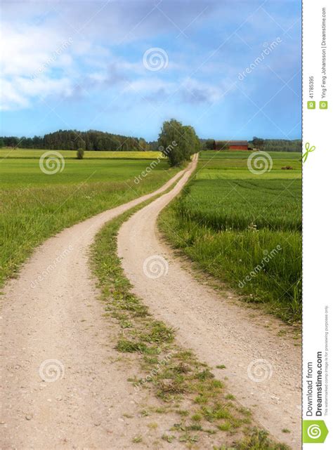 Winding Dirt Road In Summer Stock Image Image Of Road Grass 41785395