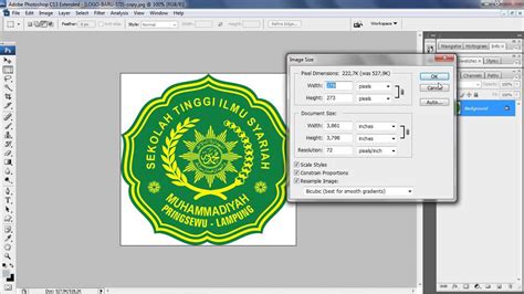 Ukuran Logo Skripsi - Dunia Sosial