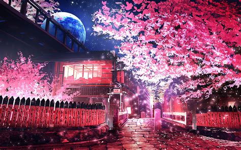 1366x768px 720p Free Download Night Street In Cherry Blossoms Art