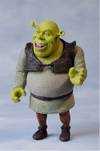 Shrek The Ogre Action Figure Another Pop Culture Collectible Review