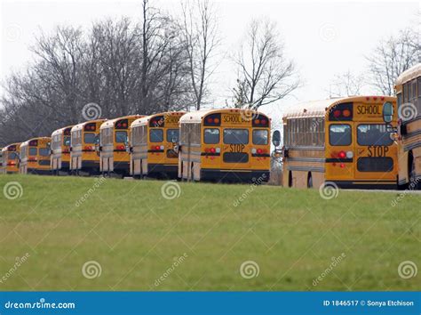 School Buses Driving In A Line Stock Image Image Of Buses Commute