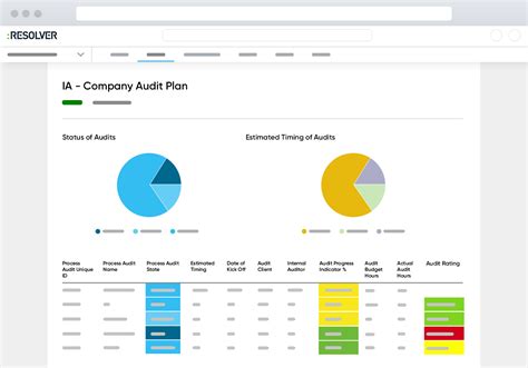 Auditing Software Overview Gambaran