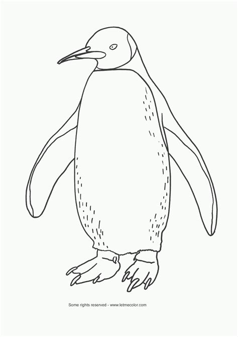 Coloring Pages Funny Penguin Coloring Pages Collections 2011