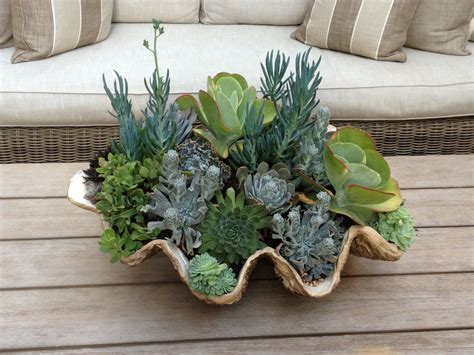 Anything and everything about succulents, a.k.a. Succulent arrangement at Restoration Hardware | Succulents ...