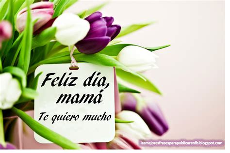 Las Mejores Frases Para Publicar En Fb Frases Para El Día De La Madre Feliz Día Mamá Te Quiero