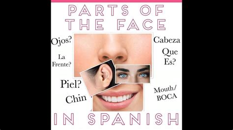 Parts Of The Face In Spanish Vocabulary With Pictures Youtube