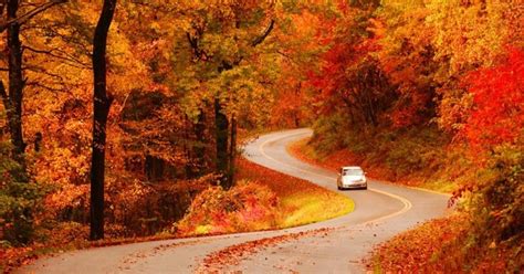 america s best fall color drives