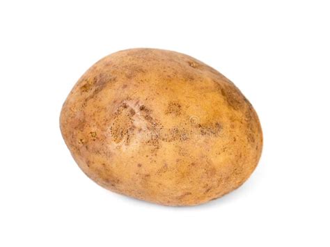 Single Potato Isolated On White Background Vegetable