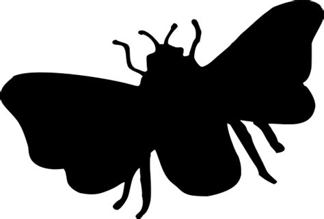Svg Watch Wing Insect Honeybee Free Svg Image And Icon Svg Silh