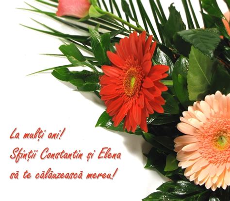 Aproape două milioane de români îşi sărbătoresc, pe 21 mai, onomastica. Trimite felicitare: Pentru ziua numelui | 411 | Felicitari ...