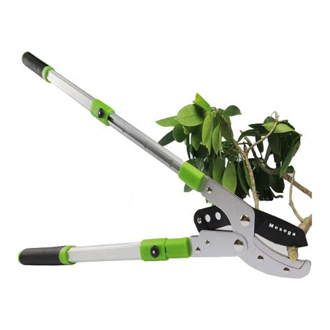 Top 10 Best Tree Loppers In 2022 Reviews Guide