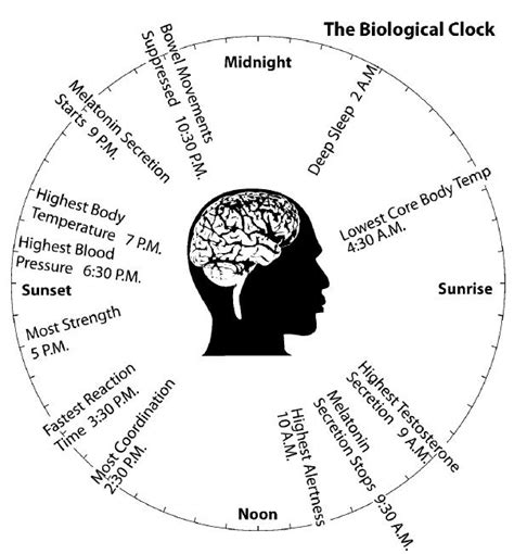 Circadian Rhythm Sleep Disorder Can Be Temporary Or Chronic In Nature