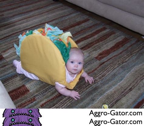 Aggro Gator Aggrogator Twitter