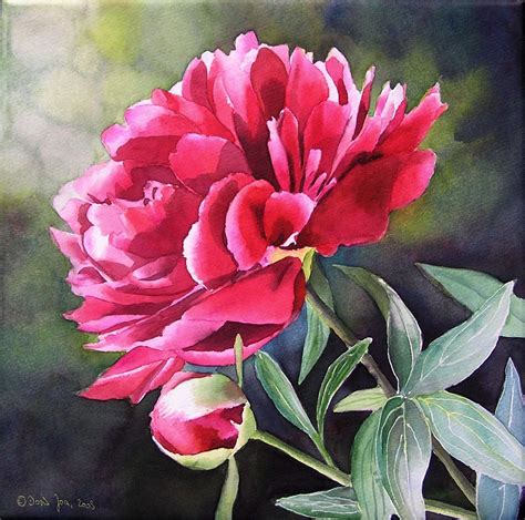 Rose Paintings And Flower Paintings In Watercolor And Oil Peony