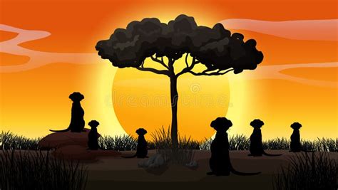 Outdoor Nature Silhouette Sunset Scene Stock Vector Illustration Of