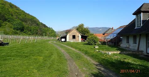 Über den meurersteig auf den seekopf (671 m) zielort: Rossatz Seekopf Rotes Kreuz Seegraben retour 21.04.2017 ...