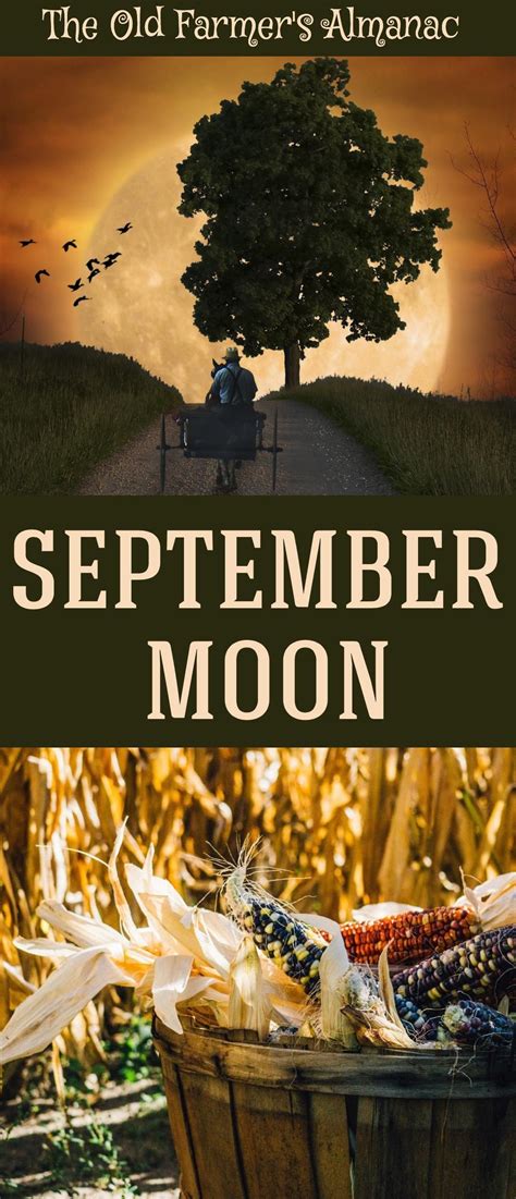 Full Moon In September 2022 Corn Moon Full Moon Old Farmers Almanac