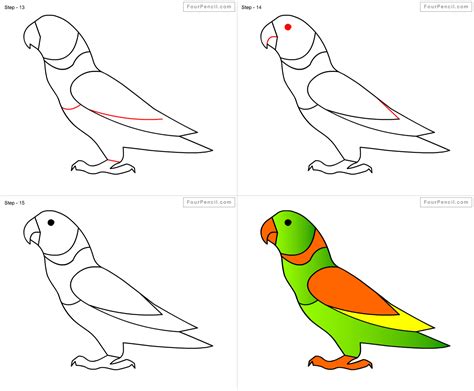 Fpencil How To Draw Parrot For Kids Step By Step