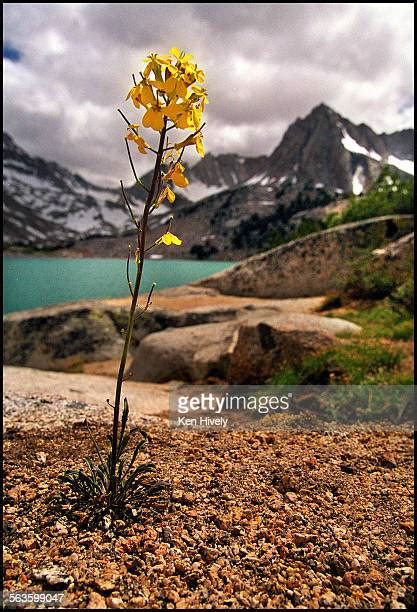 Sabrina Basin Photos And Premium High Res Pictures Getty Images