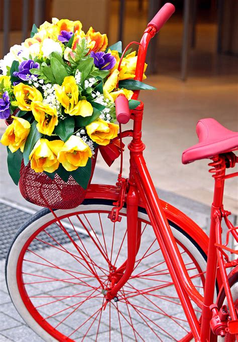 3 Reasons Bikes Should Come With Baskets Of Flowers First Come Flowers