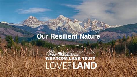Our Resilient Nature Youtube