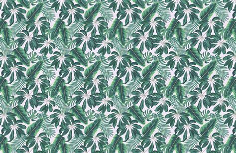 Tropical Print Wallpapers Top Free Tropical Print Backgrounds