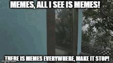 Memes GIF Memes Discover Share GIFs