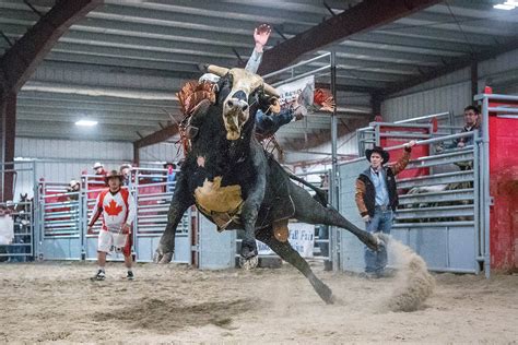 New Years Eve Bull Riding A Sellout Event Barriere Star Journal