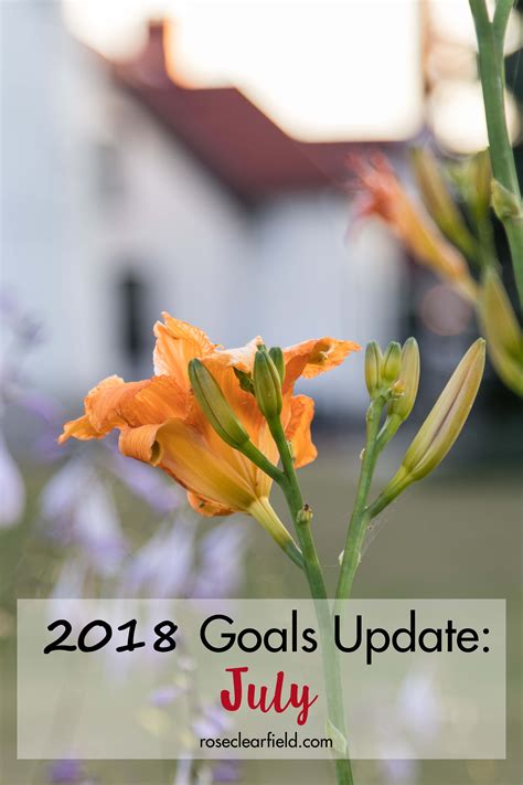 2018 Goals Update July Rose Clearfield