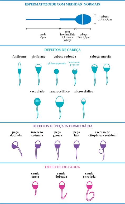O Que Significa Esperma