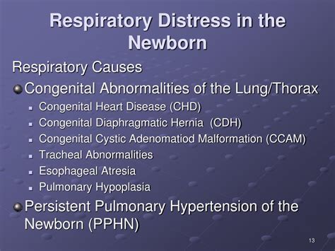 Ppt Respiratory Diseases Of The Newborn Powerpoint Presentation Free