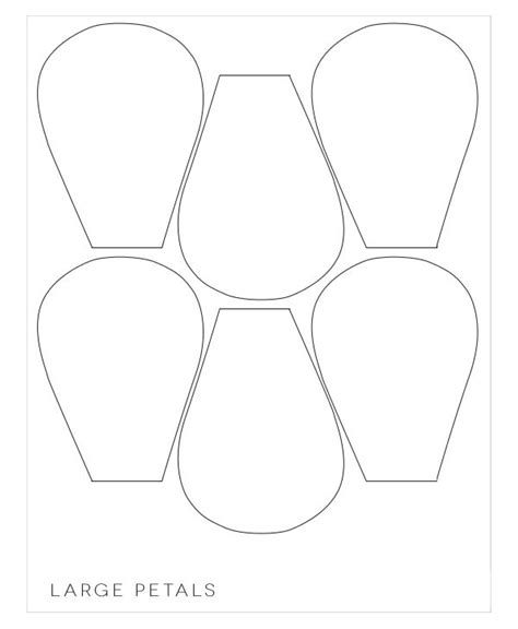 20 Flower Petal Templates Pdf Vector Eps Flower Petal Template