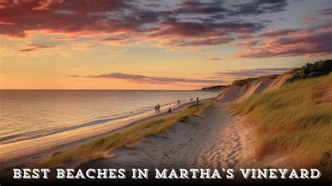 Best Beaches In Martha S Vineyard Top Coastal Gems Fes Education