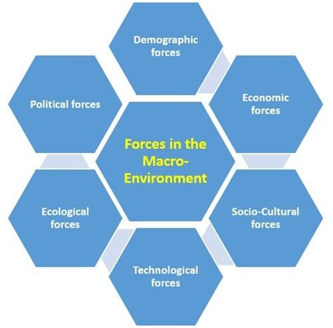 Companys Macro Environment