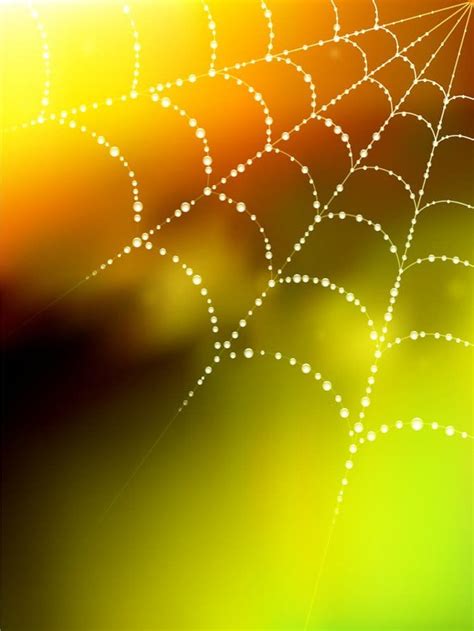 Spider Web Background Eps Vector Uidownload